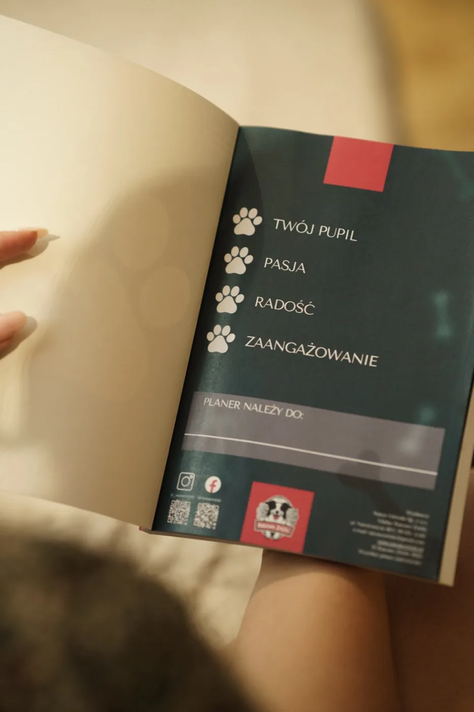 Psi Planner — strona „Planer należy do